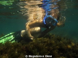 swimming amidst seven Scorpionfishes by Blagodarova Elena 